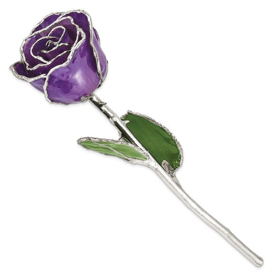SILVER ROSE