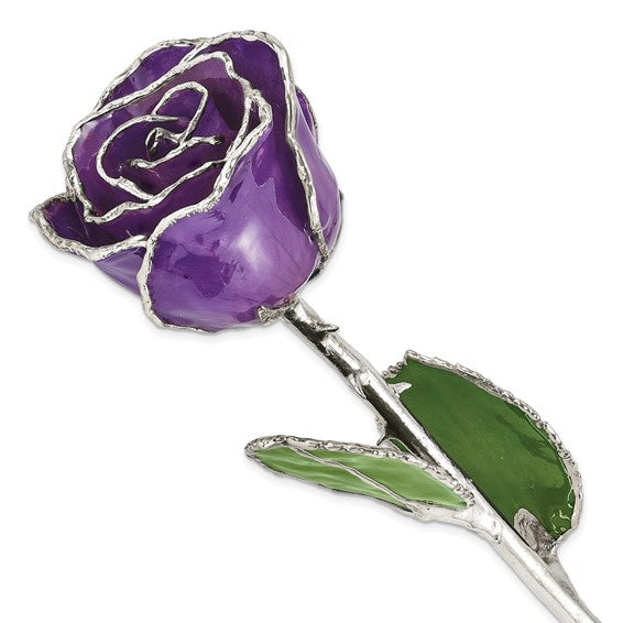 SILVER ROSE