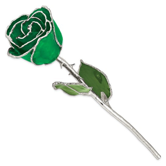SILVER ROSE