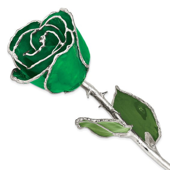 SILVER ROSE