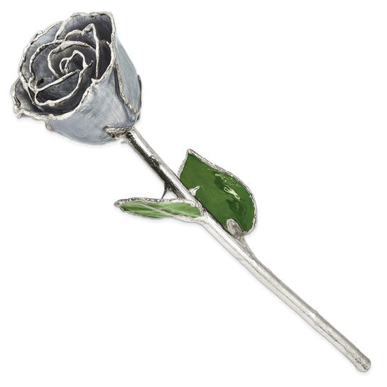 SILVER ROSE