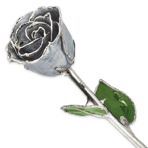 SILVER ROSE