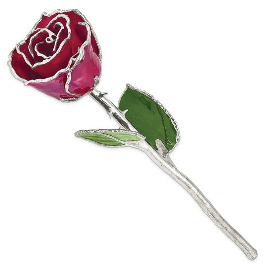 SILVER ROSE