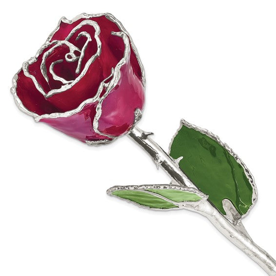 SILVER ROSE