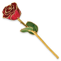 GOLD ROSE