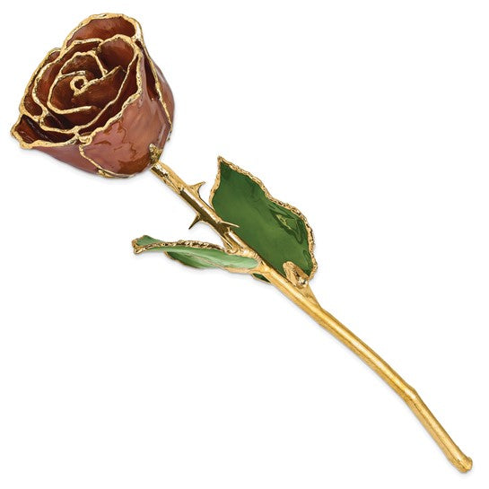 GOLD ROSE