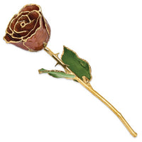 GOLD ROSE