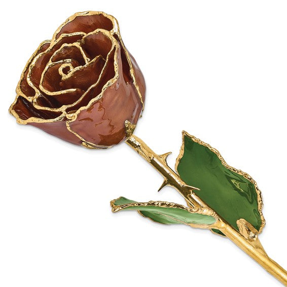 GOLD ROSE
