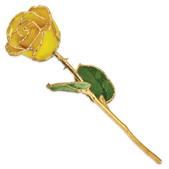 GOLD ROSE