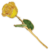 GOLD ROSE