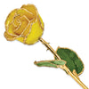 GOLD ROSE