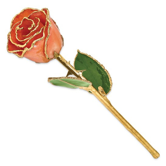 GOLD ROSE