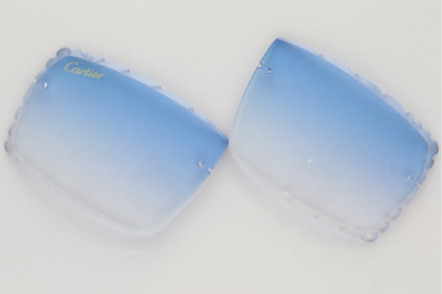 'LARISSA' LENSES